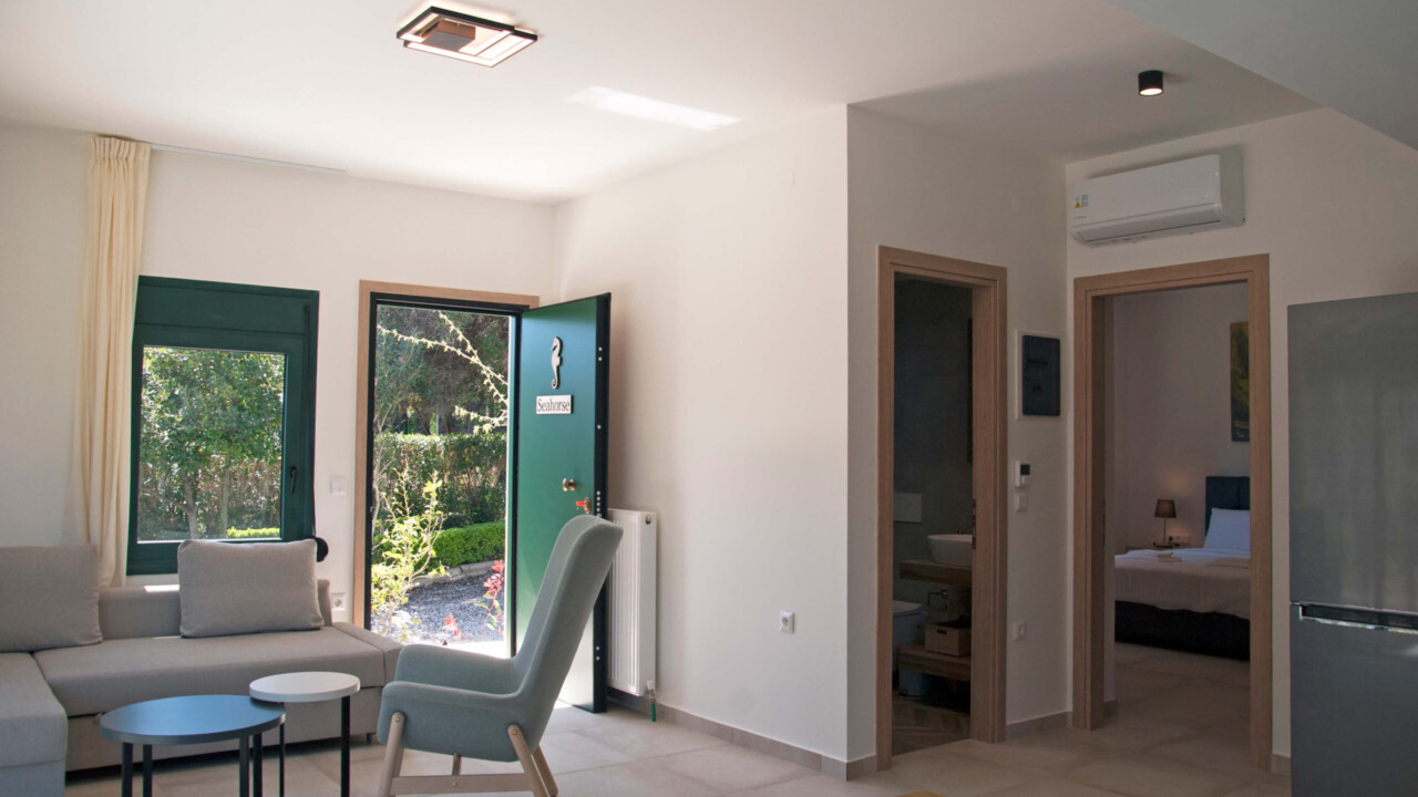 Living room & entrance